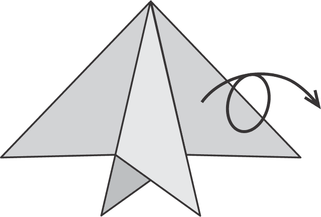 Flip the Model to the Other Side