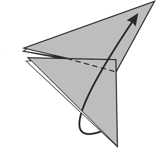 Fold the second wing upwards