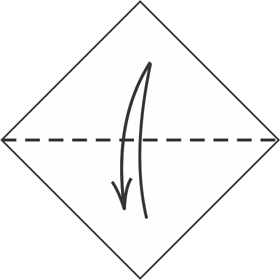 Make a horizontal fold and unfold