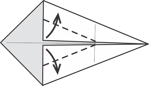 Fold Top and Bottom Sides Toward the Center