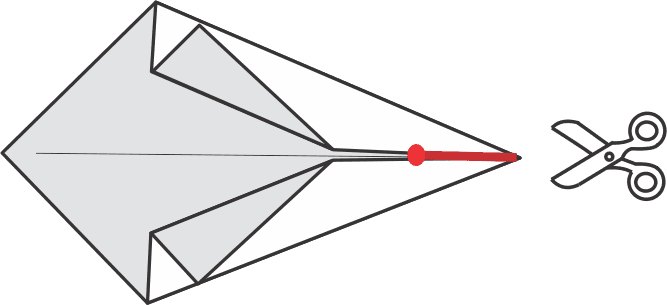 Cut Along the Red Line to Prepare the Fins