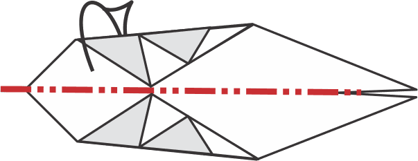 Fold the Top Layer to the Back