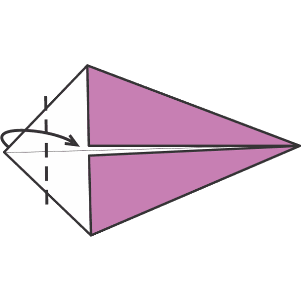 Fold the Left Tip Toward the Center