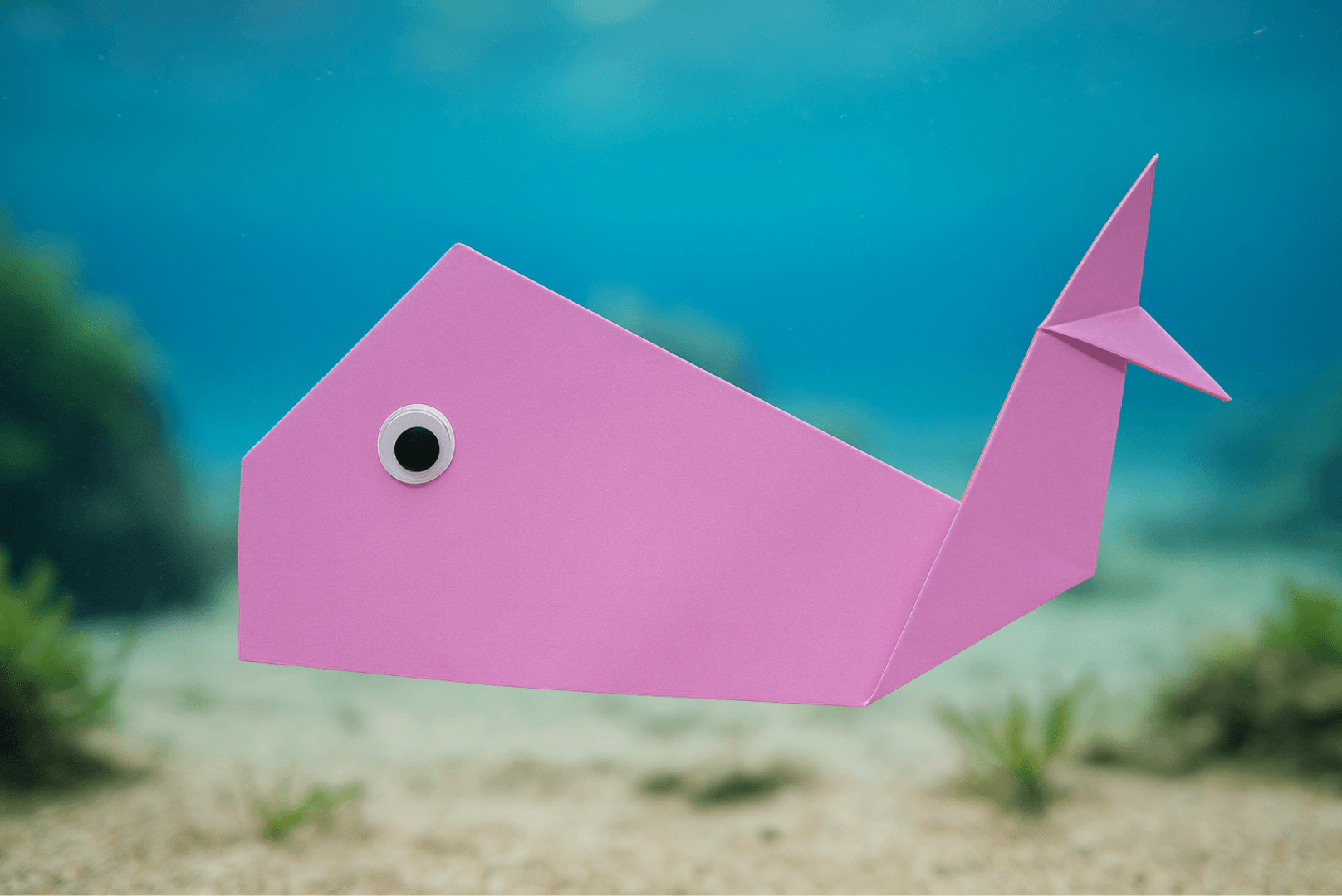 Easy Origami Whale