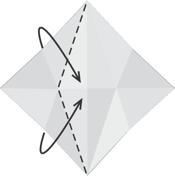 Collapse Left Side Along the Slanted Crease