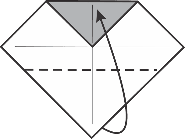 Fold the Bottom Corner Up to the Top Edge