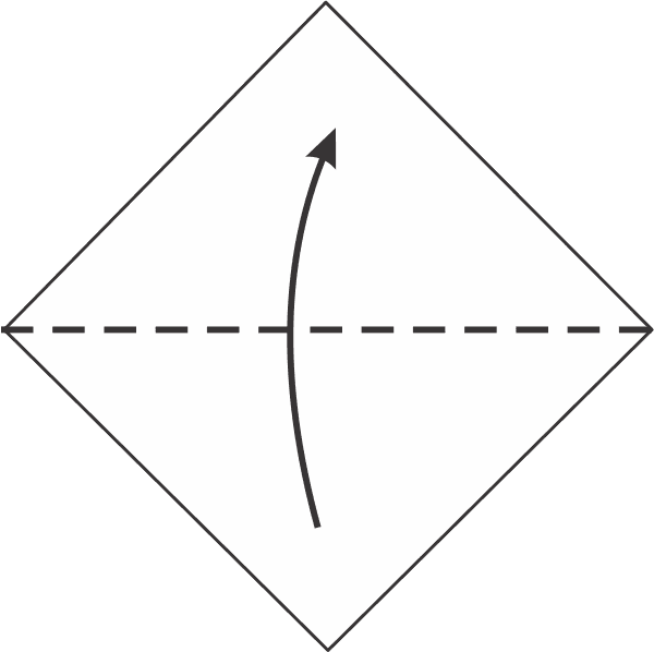 Fold the Bottom Corner Upward