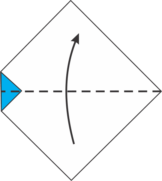 Fold the Bottom Corner Upward