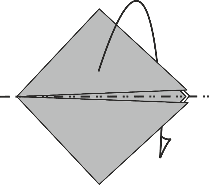 Fold the Top Tip Down to the Bottom, Hiding it Behind