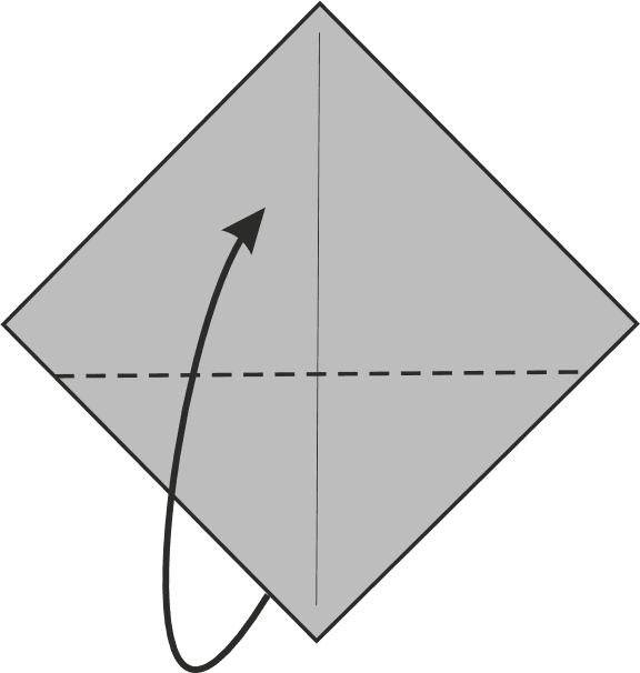 Fold the Bottom Corner Upwards