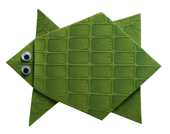 Make Your Turtle Unique with Decorations