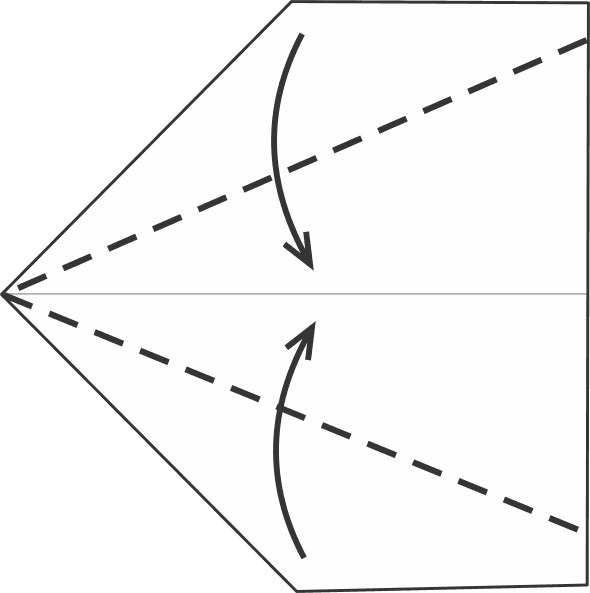 Fold the Sides In to the Center