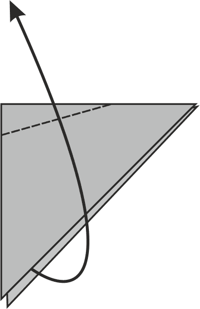 Fold one wing upwards