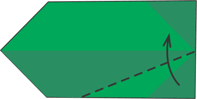 Fold the Bottom Right Corner Up