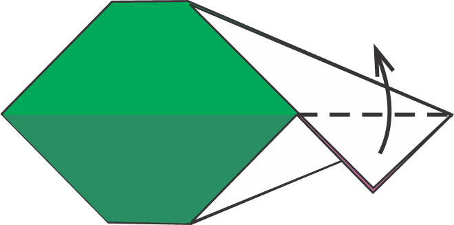 Fold the Top Fin Up