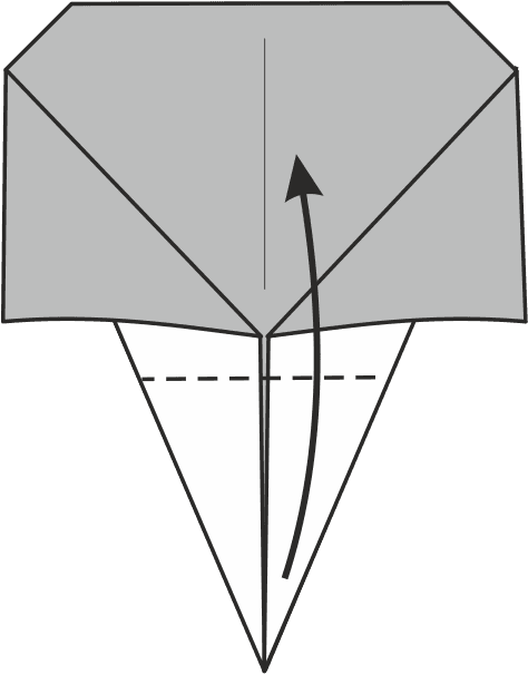 Fold the Bottom Point Upward