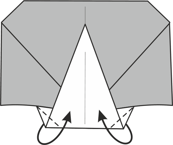Fold the Bottom Corners Upwards