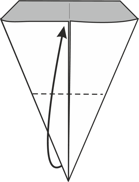 Fold the Bottom Point Upwards