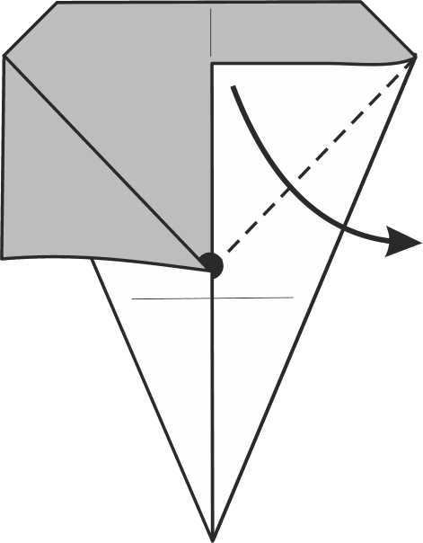 Fold the Right Side Down Along a Diagonal