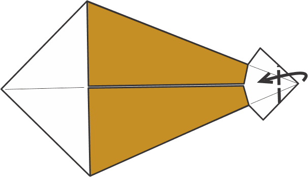 Shape the Tail